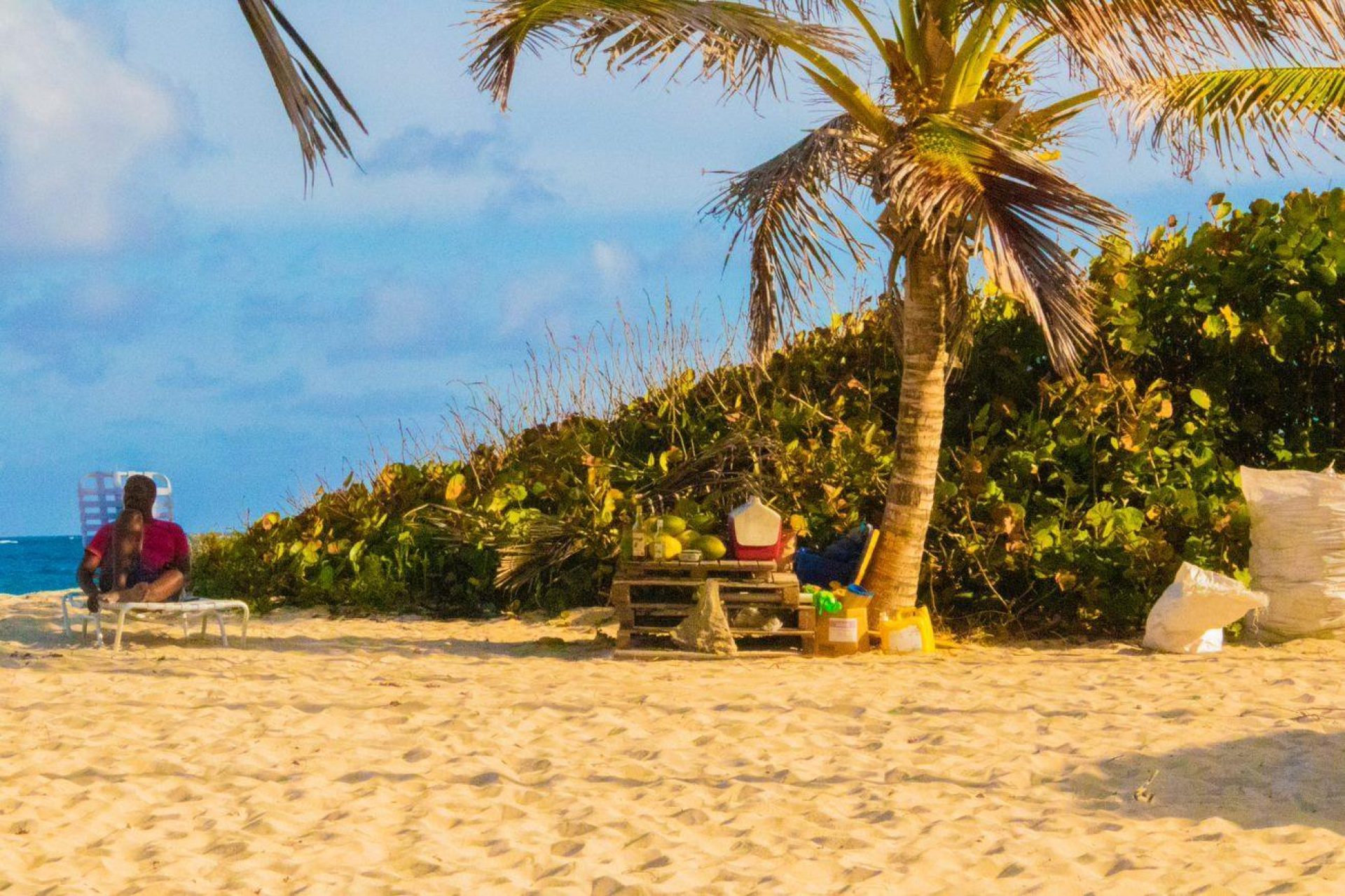 E15e5767 038f 464e 9bde 53aed06890d3