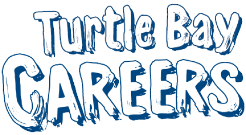 Careers hero video logo new