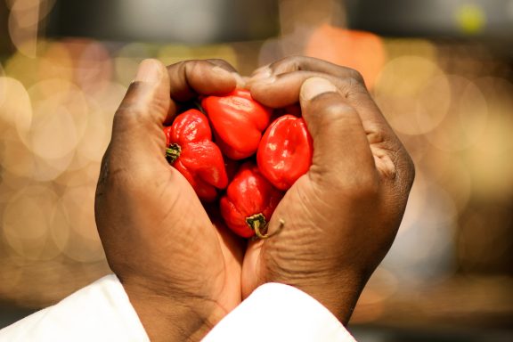 Chilli Heart Colin Chef Sq