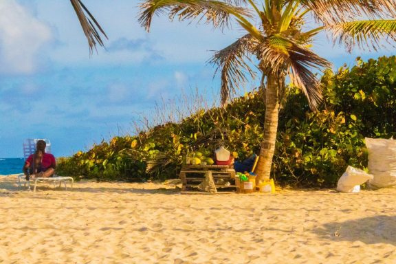 E15e5767 038f 464e 9bde 53aed06890d3